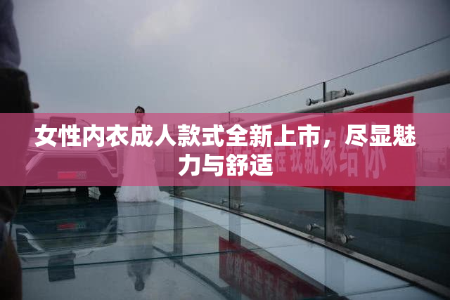女性内衣成人款式全新上市，尽显魅力与舒适