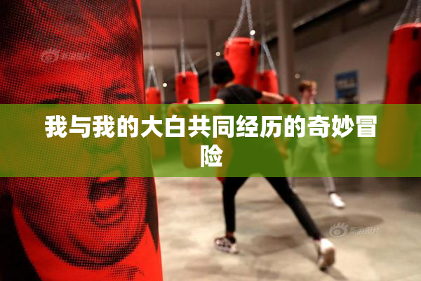 我与我的大白共同经历的奇妙冒险