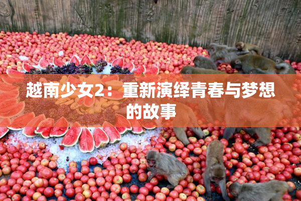 越南少女2：重新演绎青春与梦想的故事