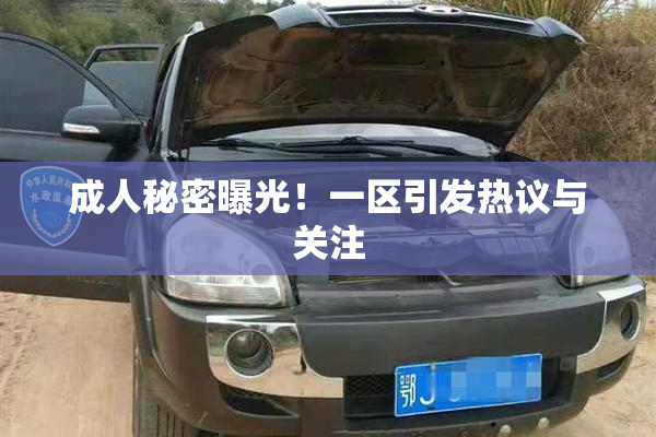 成人秘密曝光！一区引发热议与关注