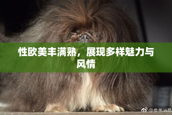 性欧美丰满熟，展现多样魅力与风情