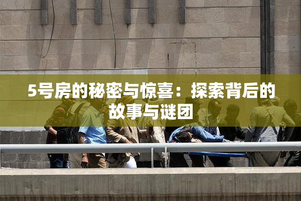 5号房的秘密与惊喜：探索背后的故事与谜团