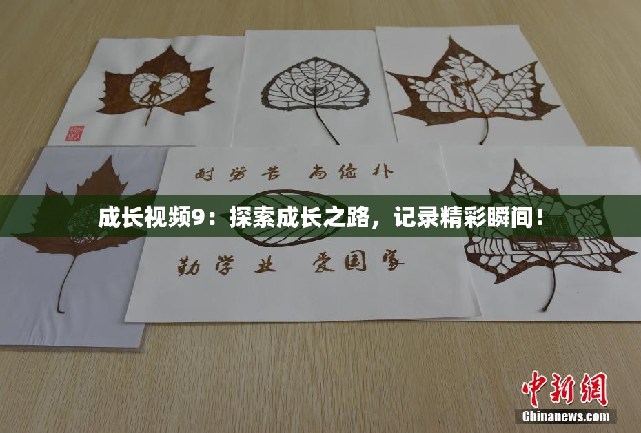 成长视频9：探索成长之路，记录精彩瞬间！