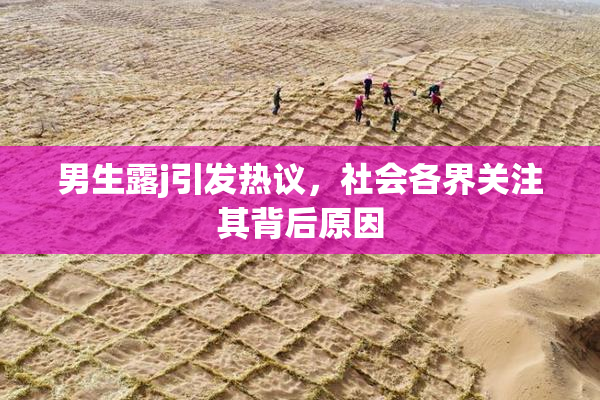 男生露j引发热议，社会各界关注其背后原因