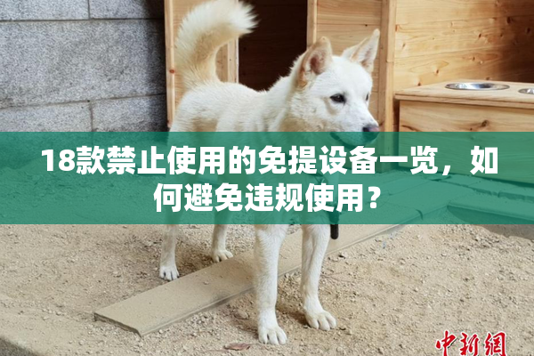 18款禁止使用的免提设备一览，如何避免违规使用？