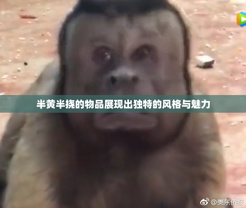 半黄半挠的物品展现出独特的风格与魅力