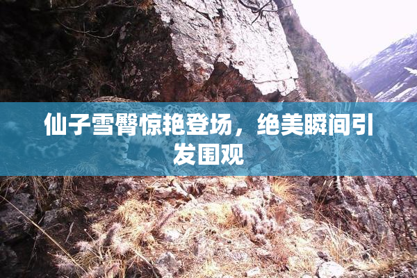 仙子雪臀惊艳登场，绝美瞬间引发围观