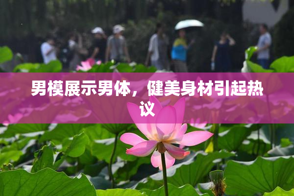 男模展示男体，健美身材引起热议