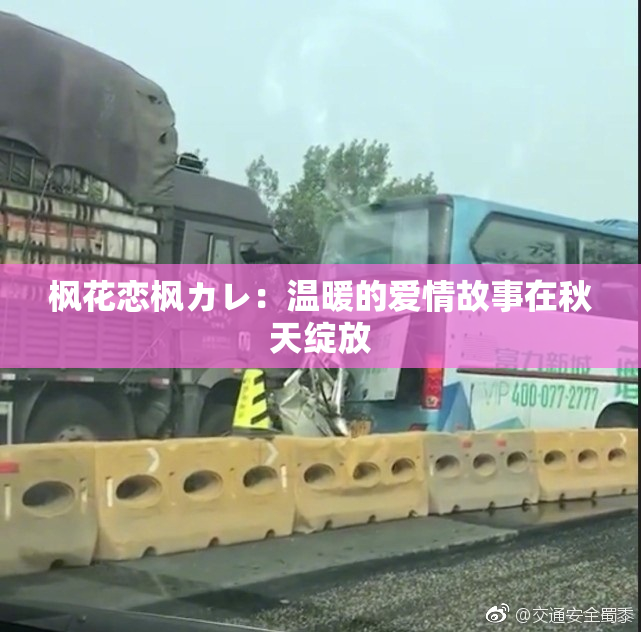枫花恋枫カレ：温暖的爱情故事在秋天绽放