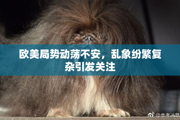 欧美局势动荡不安，乱象纷繁复杂引发关注