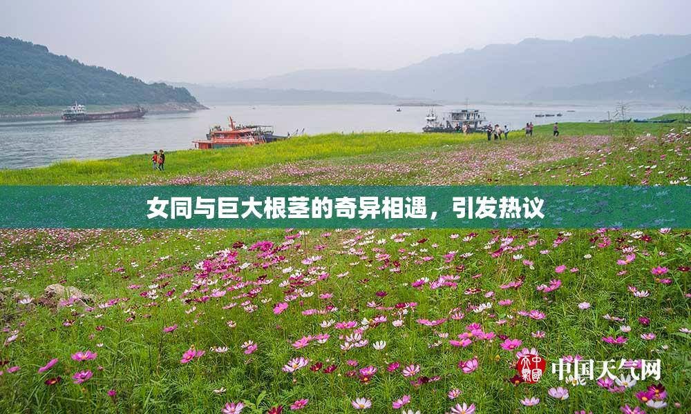 女同与巨大根茎的奇异相遇，引发热议