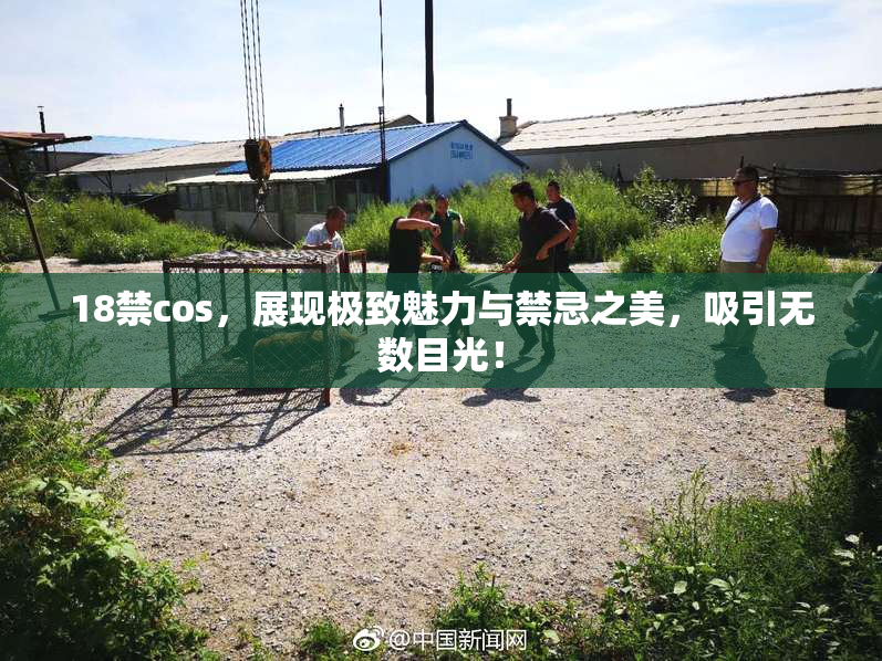 18禁cos，展现极致魅力与禁忌之美，吸引无数目光！