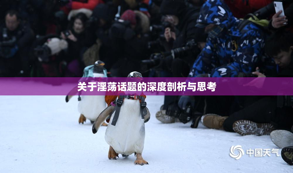关于淫荡话题的深度剖析与思考
