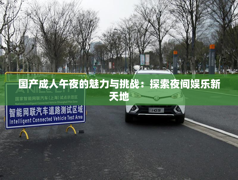 国产成人午夜的魅力与挑战：探索夜间娱乐新天地