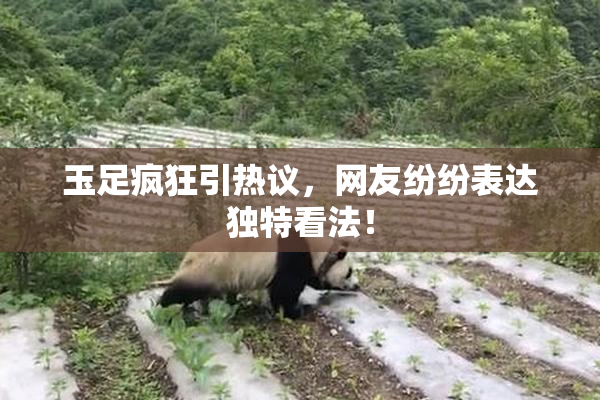 玉足疯狂引热议，网友纷纷表达独特看法！