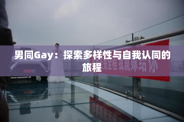 男同Gay：探索多样性与自我认同的旅程