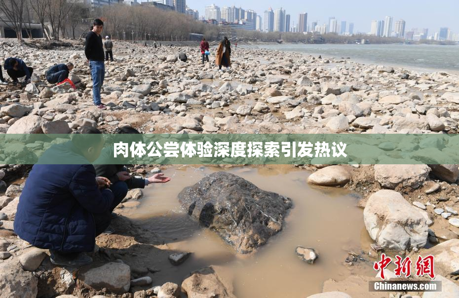 肉体公尝体验深度探索引发热议