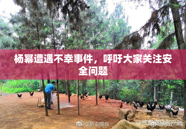 杨幂遭遇不幸事件，呼吁大家关注安全问题
