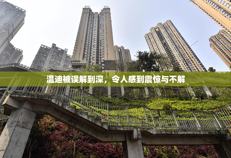 温迪被误解到深，令人感到震惊与不解