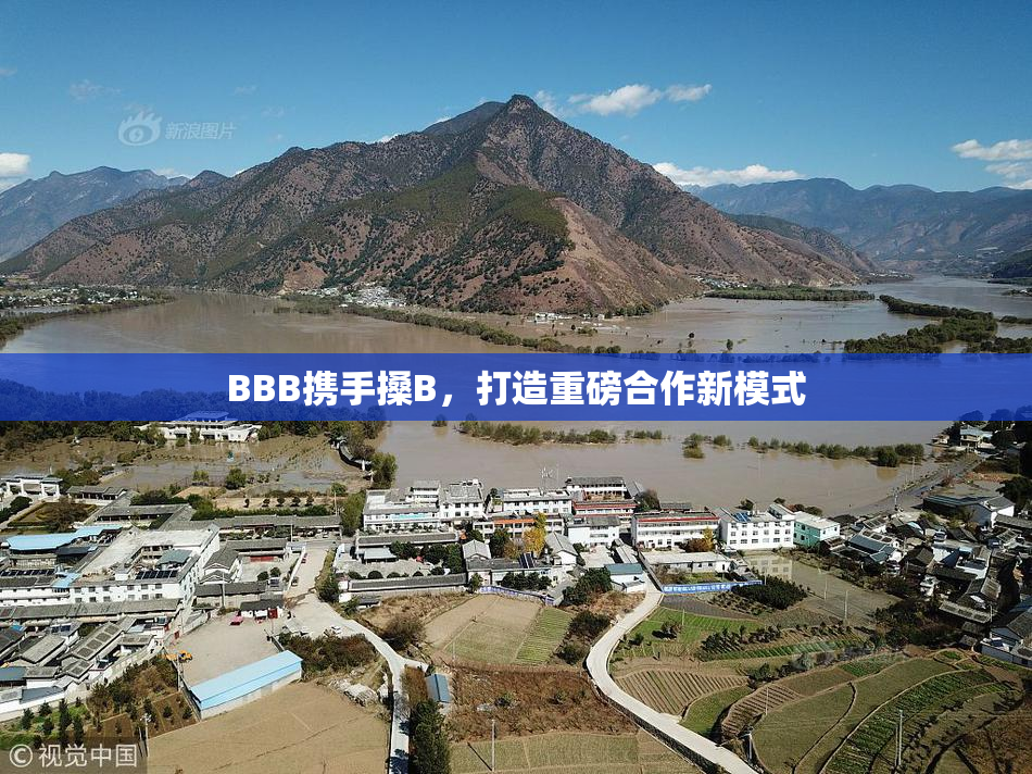 BBB携手搡B，打造重磅合作新模式
