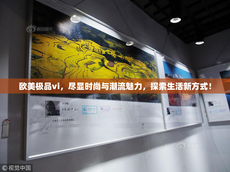 欧美极品vi，尽显时尚与潮流魅力，探索生活新方式！