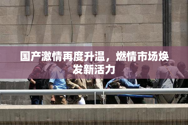 国产激情再度升温，燃情市场焕发新活力