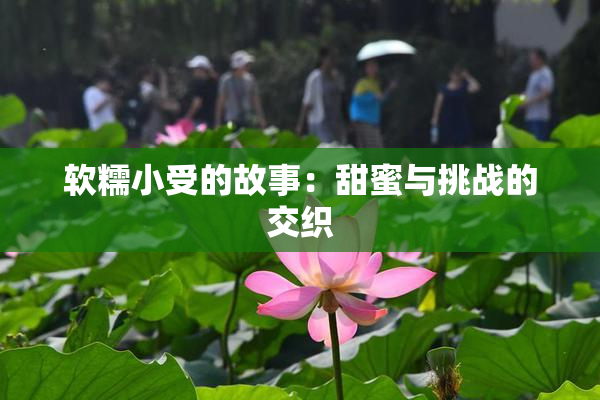 软糯小受的故事：甜蜜与挑战的交织