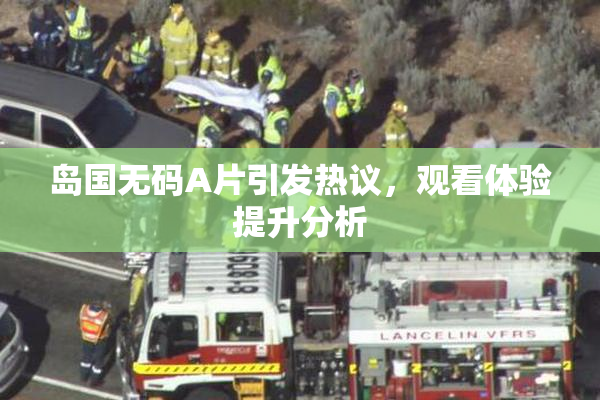 岛国无码A片引发热议，观看体验提升分析