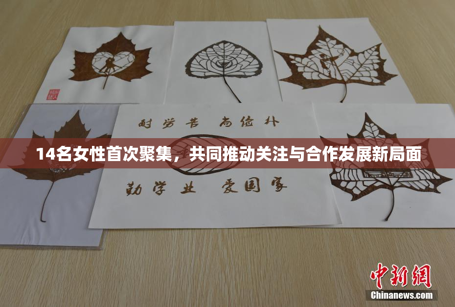 14名女性首次聚集，共同推动关注与合作发展新局面