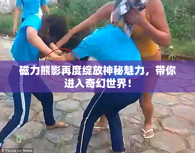 磁力熊影再度绽放神秘魅力，带你进入奇幻世界！