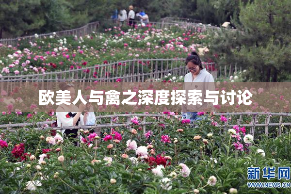 欧美人与禽之深度探索与讨论