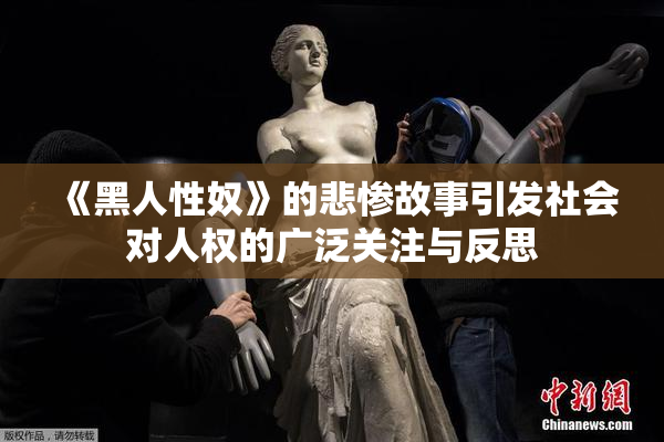 《黑人性奴》的悲惨故事引发社会对人权的广泛关注与反思
