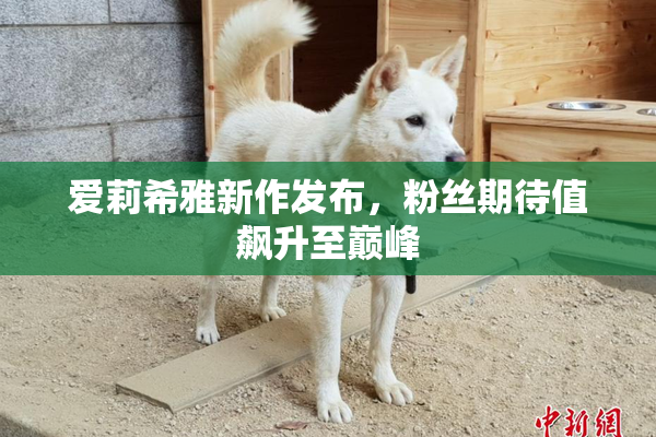 爱莉希雅新作发布，粉丝期待值飙升至巅峰