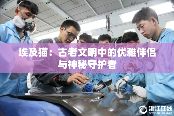 埃及猫：古老文明中的优雅伴侣与神秘守护者