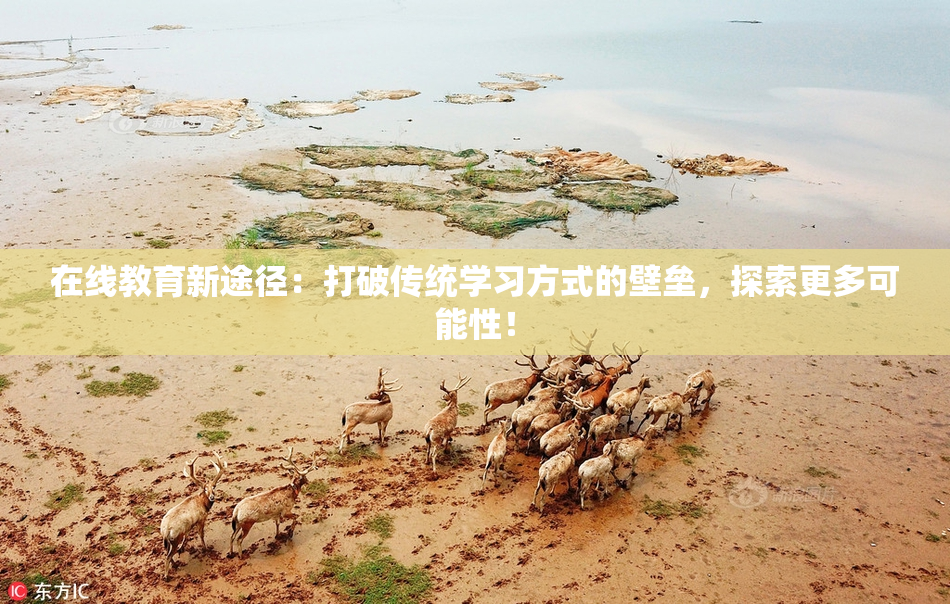 在线教育新途径：打破传统学习方式的壁垒，探索更多可能性！
