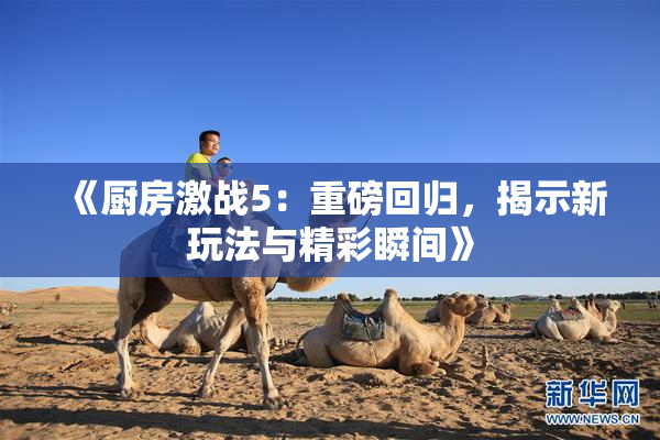 《厨房激战5：重磅回归，揭示新玩法与精彩瞬间》