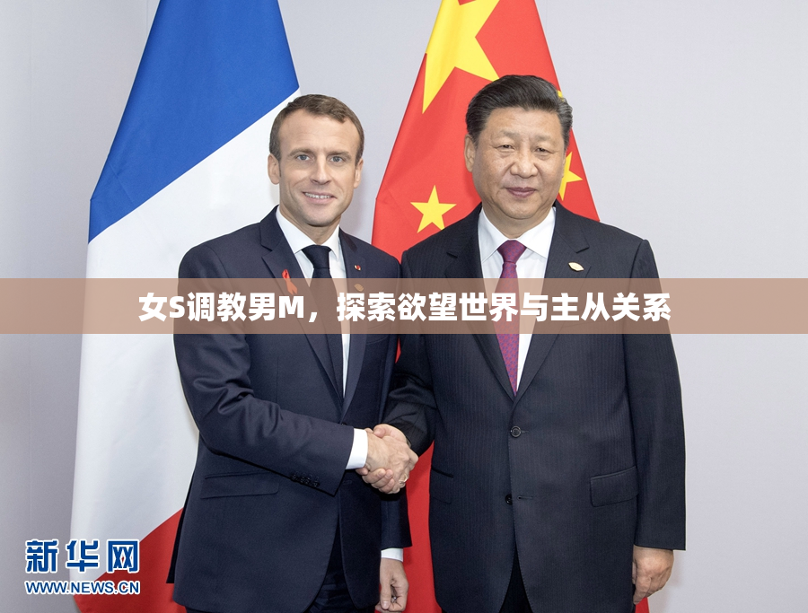 女S调教男M，探索欲望世界与主从关系