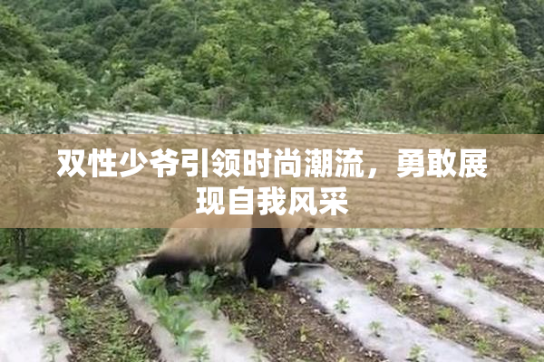 双性少爷引领时尚潮流，勇敢展现自我风采