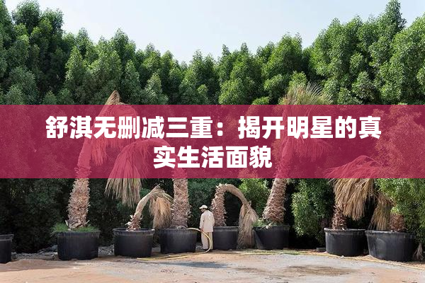 舒淇无删减三重：揭开明星的真实生活面貌