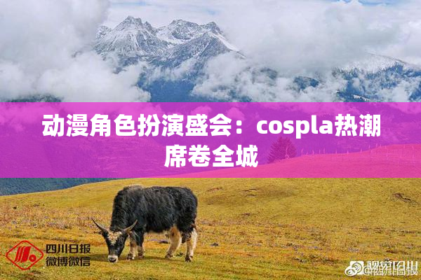 动漫角色扮演盛会：cospla热潮席卷全城