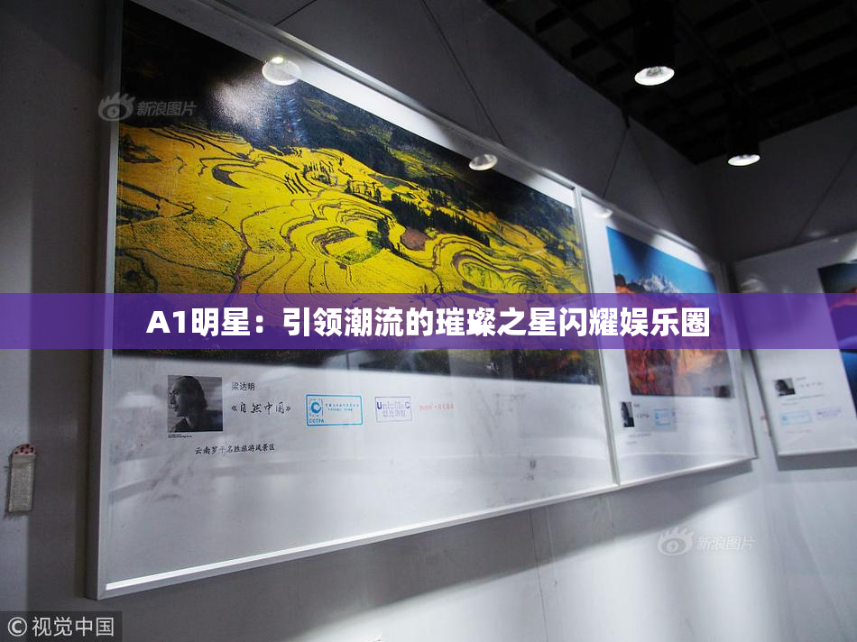 A1明星：引领潮流的璀璨之星闪耀娱乐圈