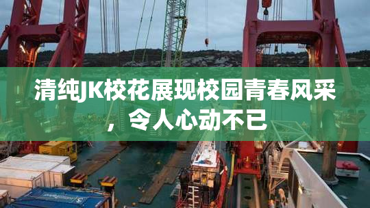 清纯JK校花展现校园青春风采，令人心动不已