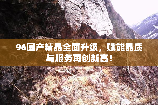 96国产精品全面升级，赋能品质与服务再创新高！