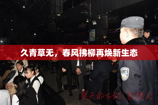 久青草无，春风拂柳再焕新生态