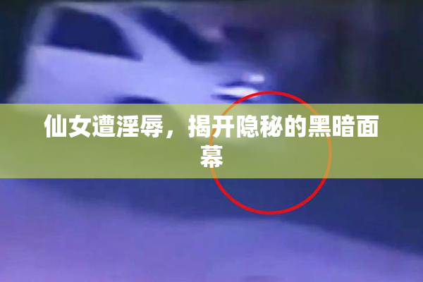 仙女遭淫辱，揭开隐秘的黑暗面幕