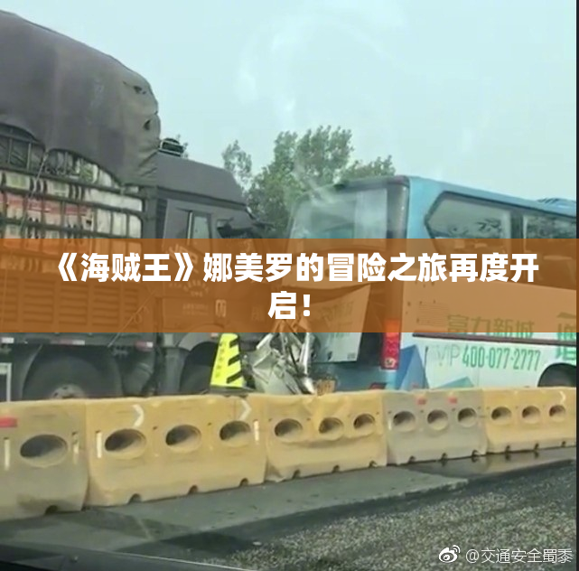 《海贼王》娜美罗的冒险之旅再度开启！