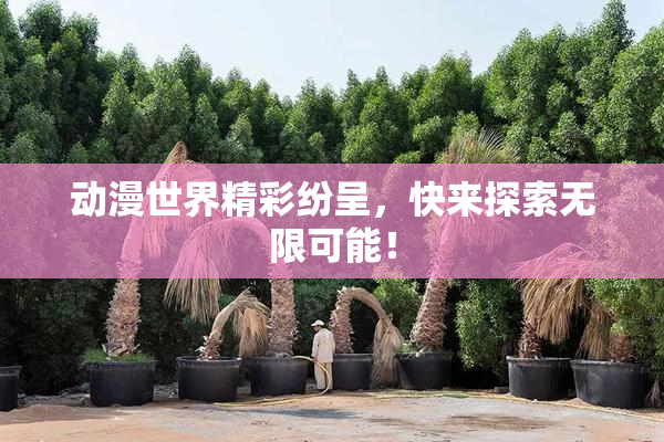 动漫世界精彩纷呈，快来探索无限可能！