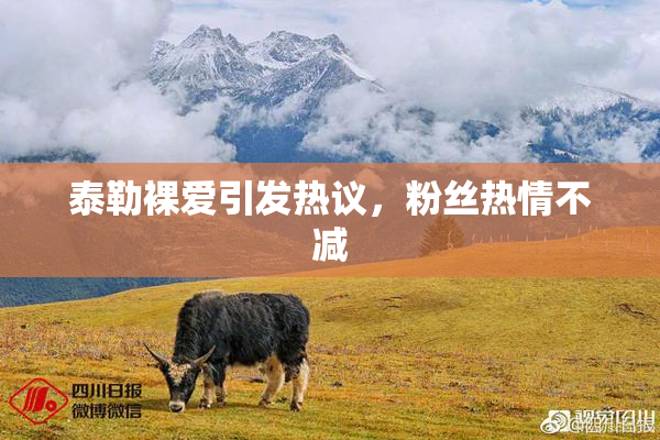 泰勒裸爱引发热议，粉丝热情不减