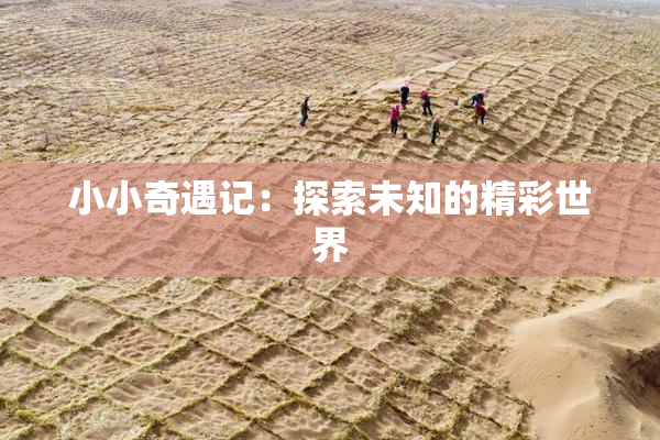 小小奇遇记：探索未知的精彩世界