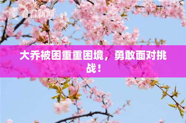 大乔被困重重困境，勇敢面对挑战！